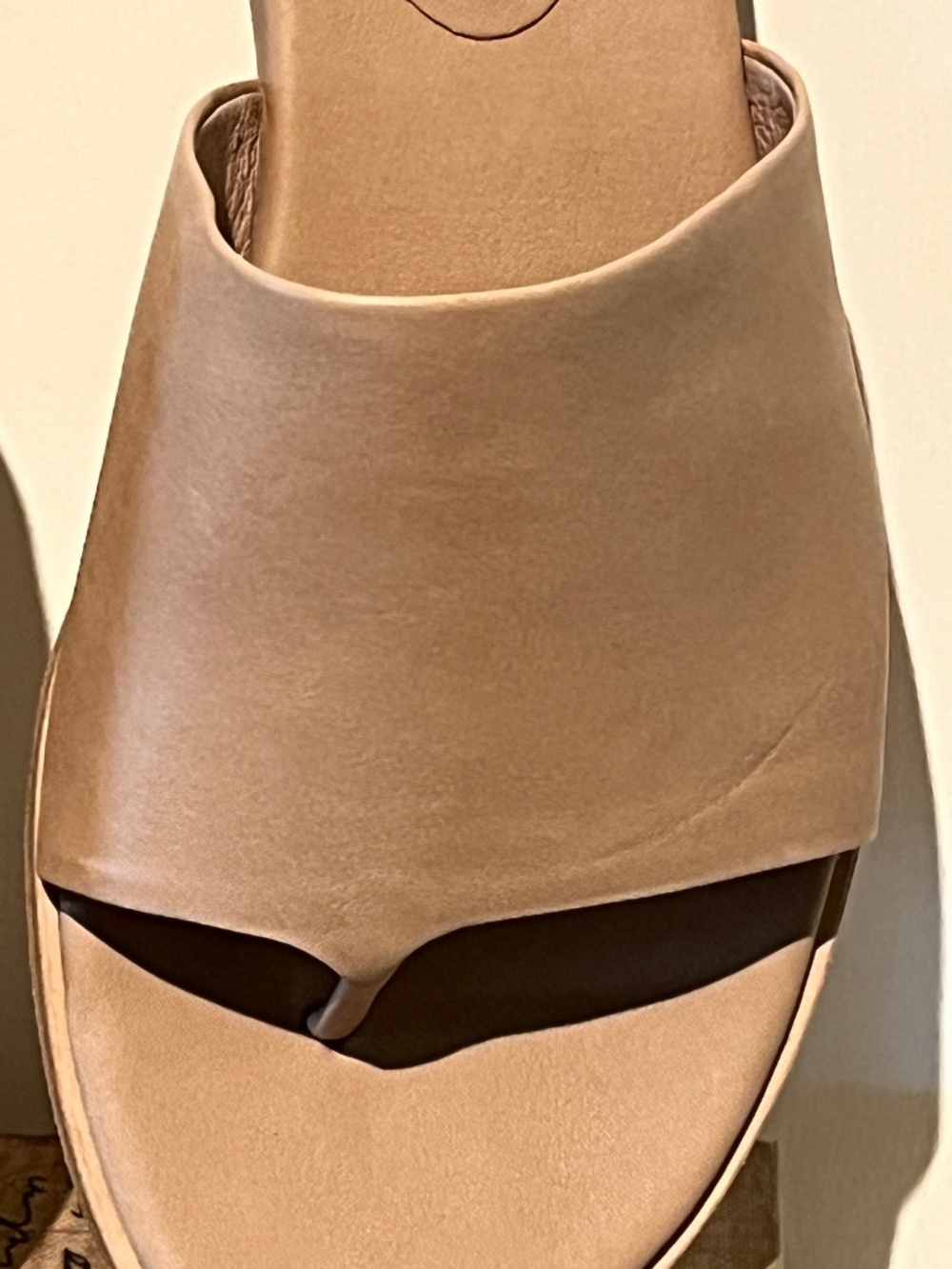 EILEEN FISHER Leather Thong Sandals in Sand - Sz 9M - NIB!